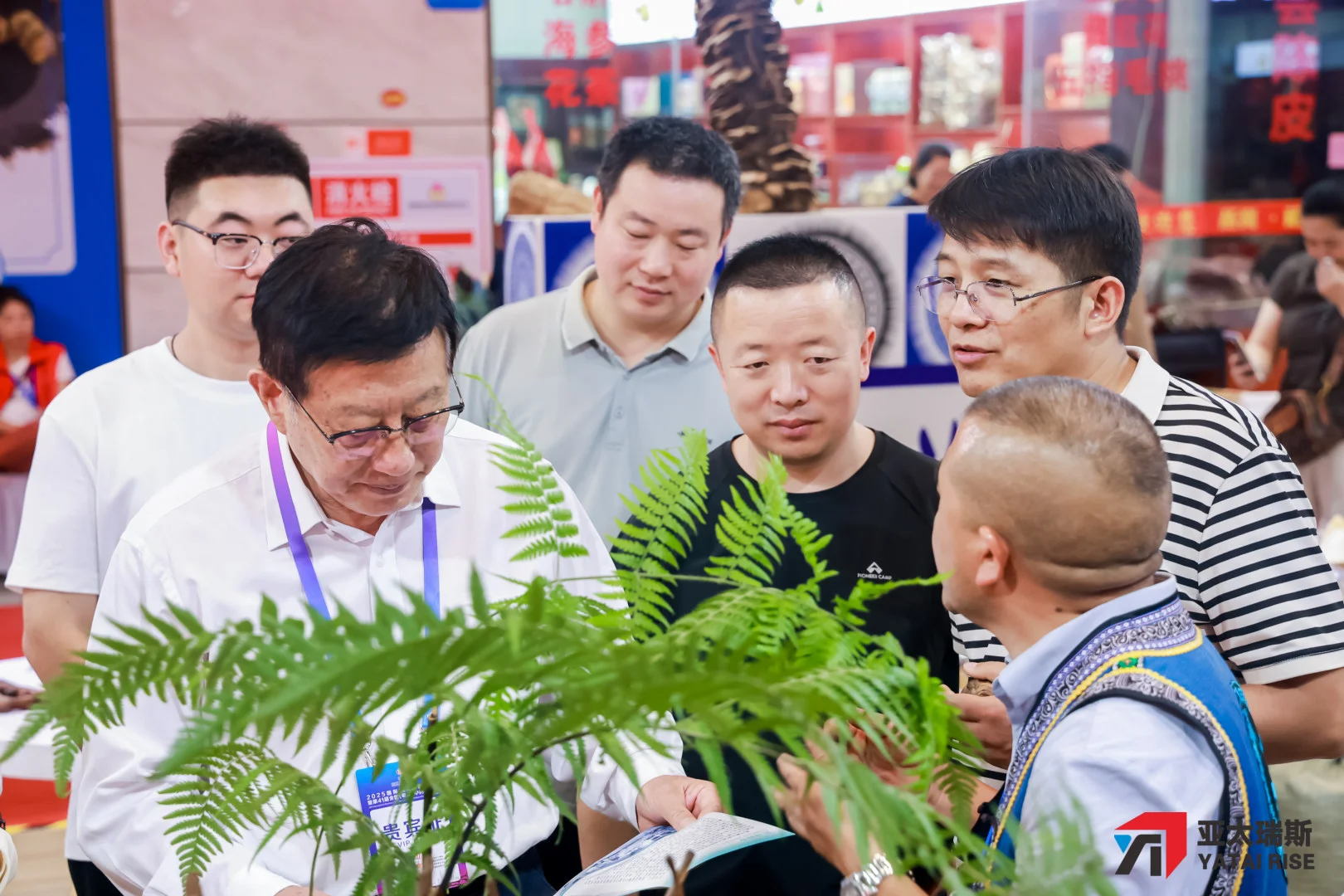 2026亳州中医药博览会