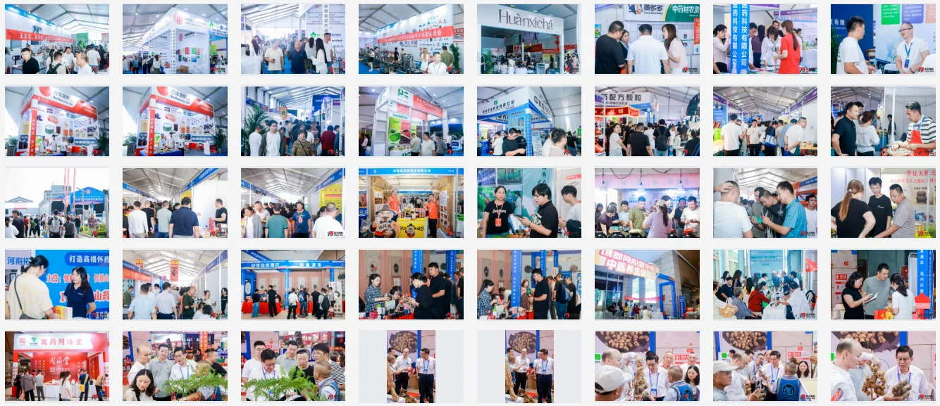 市场机遇与前沿技术全覆盖，20+行业论坛同期举办