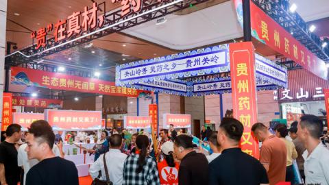 2026国际（亳州）中医药博览会