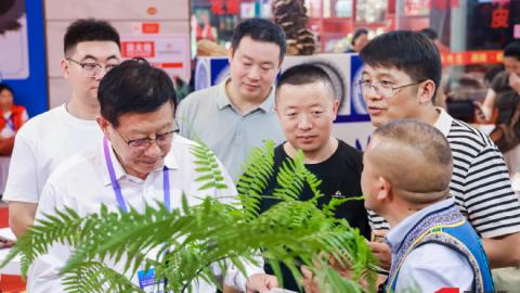 第42届全国（亳州）中药材交易会